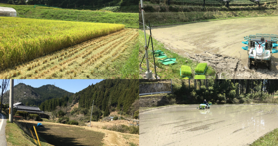 奥山田観光農園